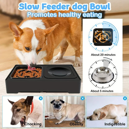 Pet Bowls Puppy Bowl Height Adjustment Rice Dog Bowl Stainless Stand Feeding Dish Bowl Elevated Food Water Feeders for Dogs